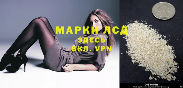 хмурый Алзамай