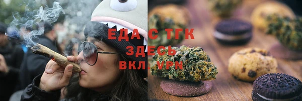 хмурый Алзамай