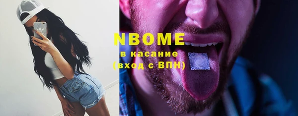 хмурый Алзамай