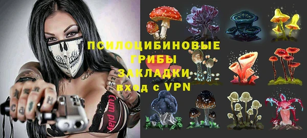 хмурый Алзамай