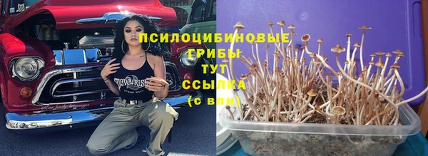 ALPHA-PVP Алексин