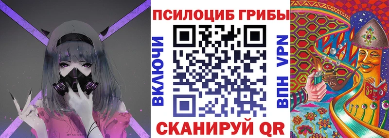 Псилоцибиновые грибы Magic Shrooms где найти наркотики Удачный